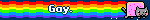 Gay.